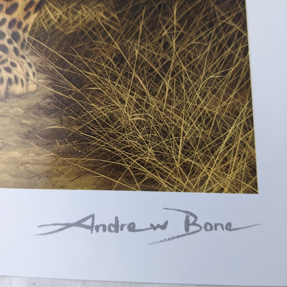 Andrew Bone NWOT African Mystique leopard art print brown black signed - Picture 3 of 9